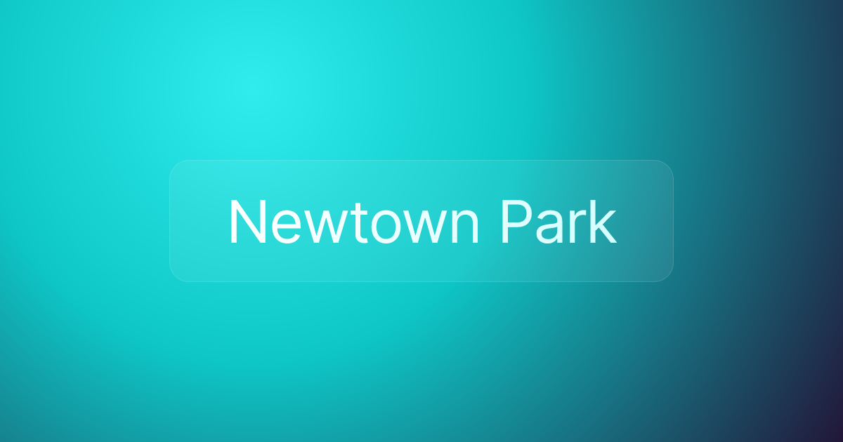 Newtown Park