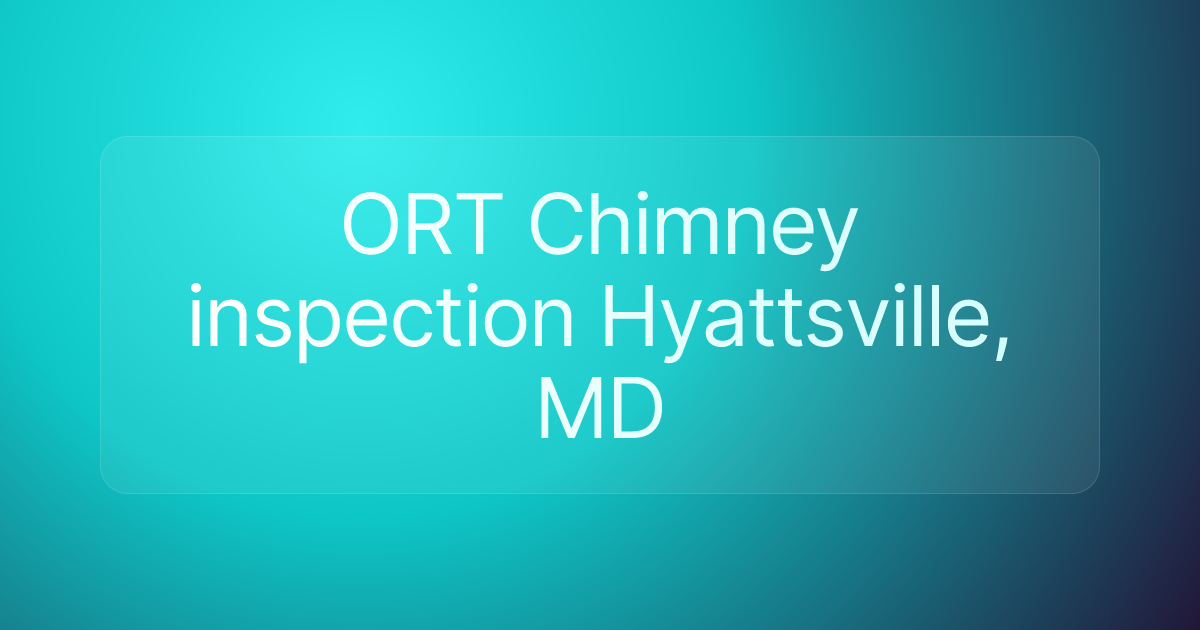 ORT Chimney inspection Hyattsville, MD