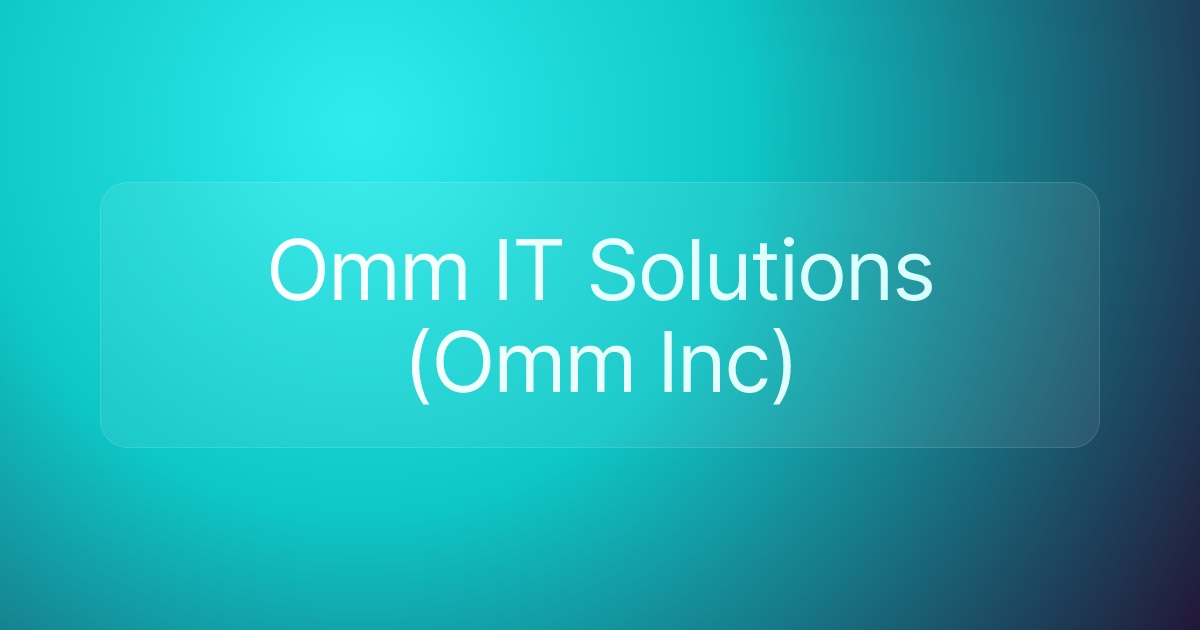 Omm IT Solutions (Omm Inc)