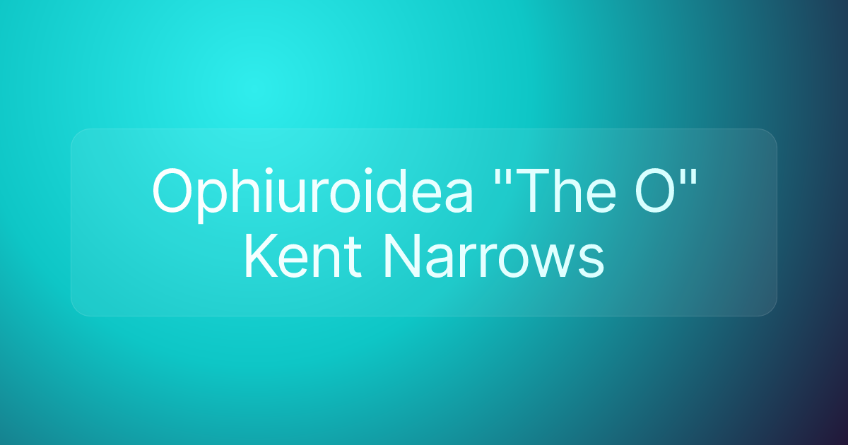 Ophiuroidea "The O" Kent Narrows