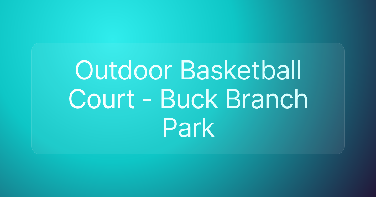 Outdoor Basketball Court - Buck Branch Park