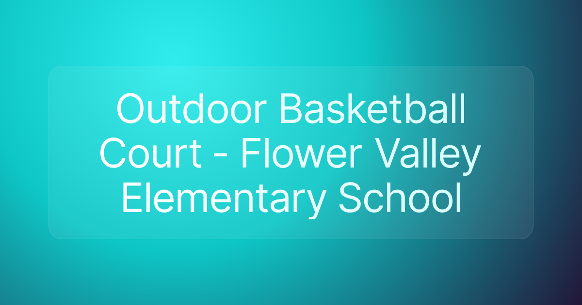 Outdoor Basketball Court - Flower Valley Elementary School