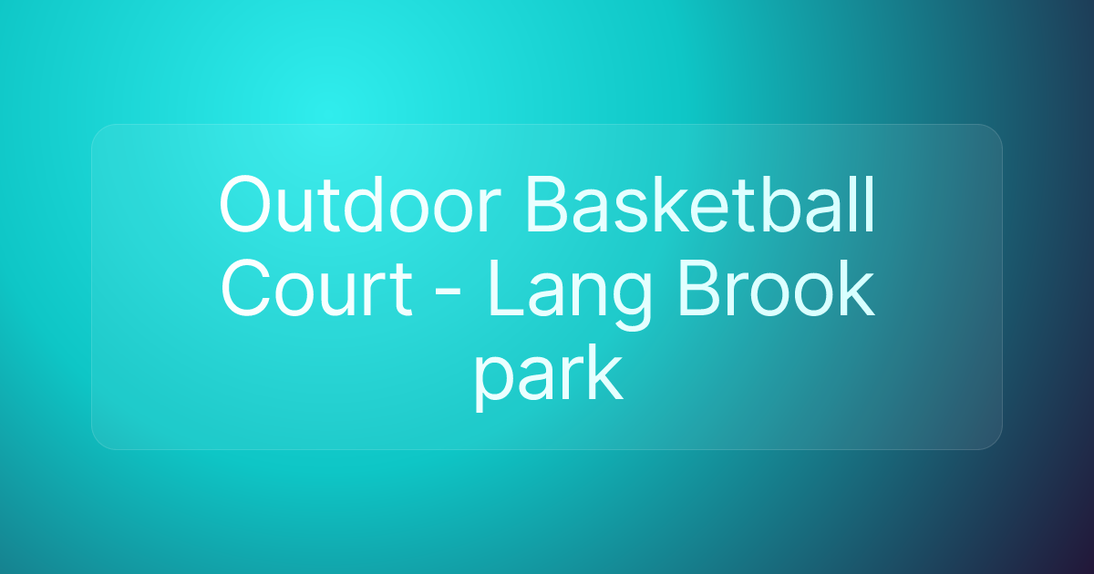 Outdoor Basketball Court - Lang Brook park