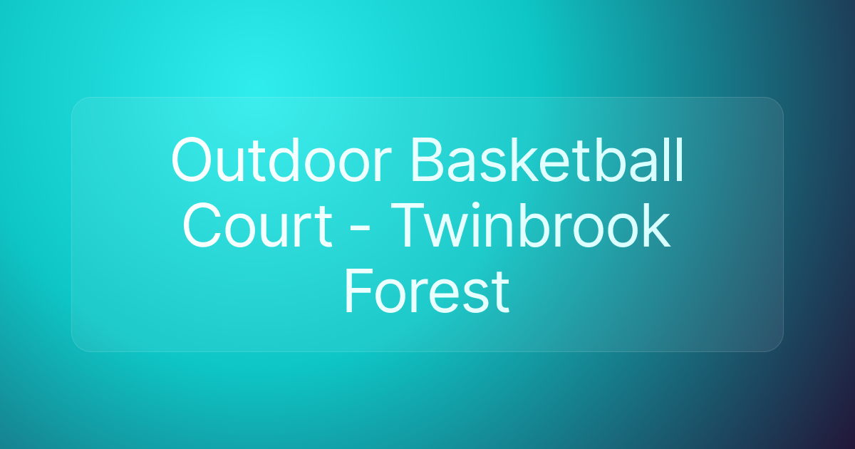 Outdoor Basketball Court - Twinbrook Forest