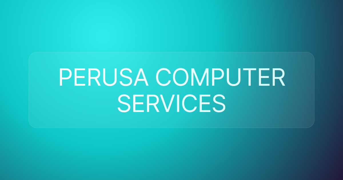 PERUSA COMPUTER SERVICES