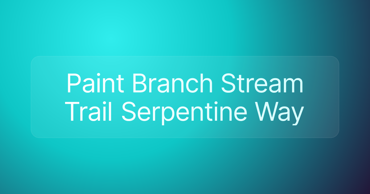 Paint Branch Stream Trail Serpentine Way