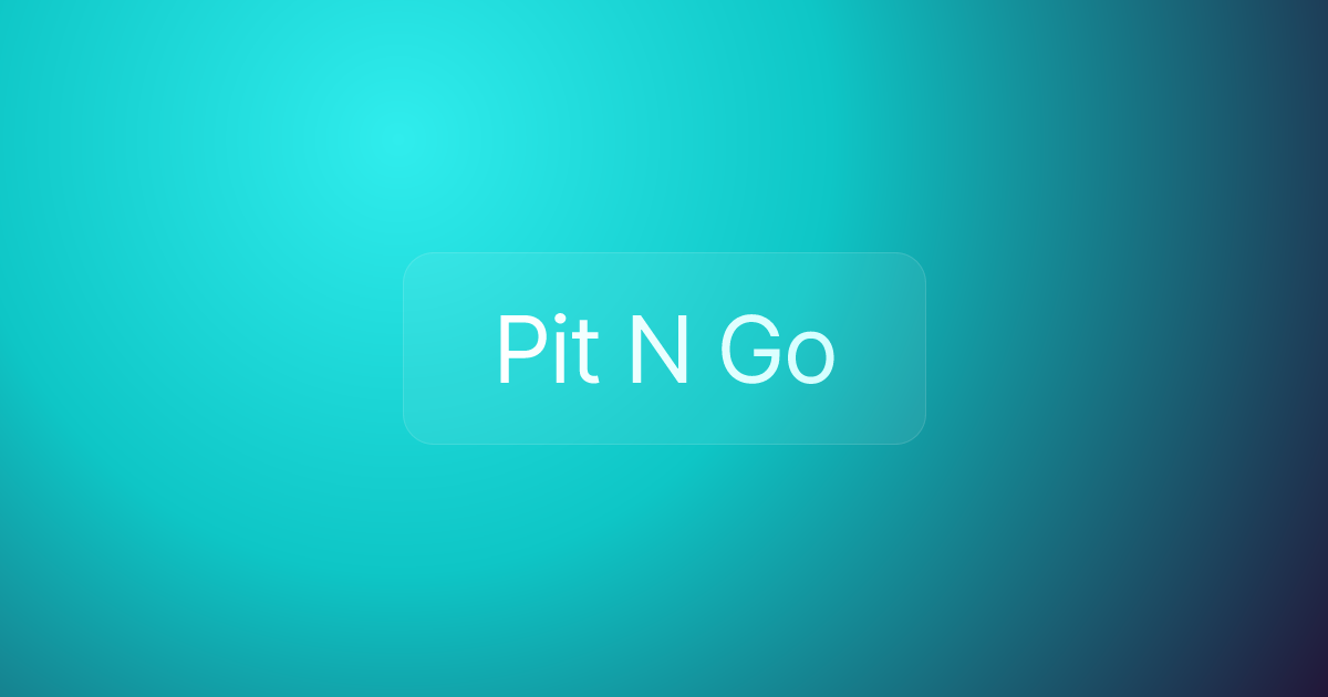 Pit N Go