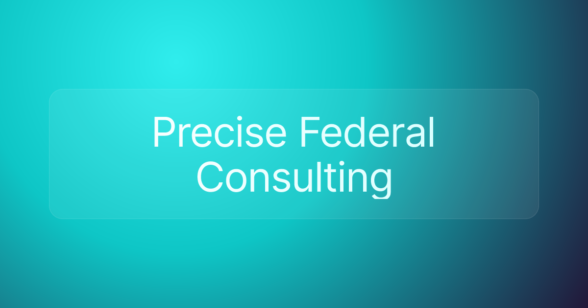 Precise Federal Consulting