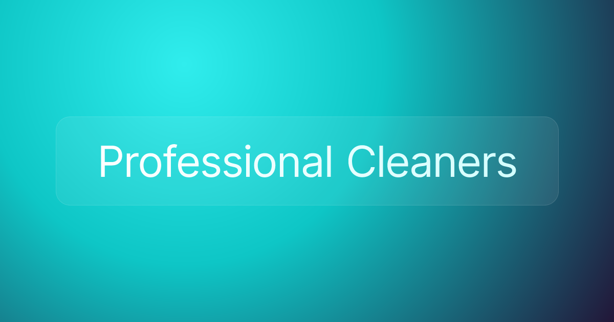 Professional Cleaners