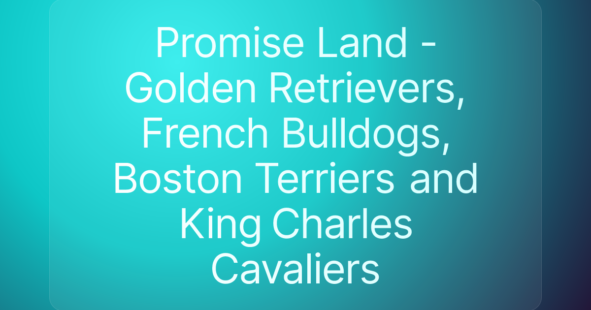 Promise Land - Golden Retrievers, French Bulldogs, Boston Terriers and King Charles Cavaliers