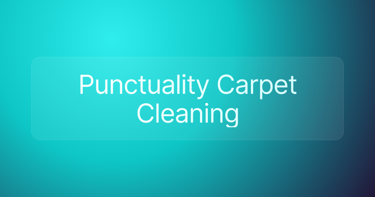 Punctuality Carpet Cleaning
