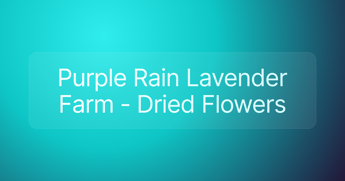 Purple Rain Lavender Farm - Dried Flowers