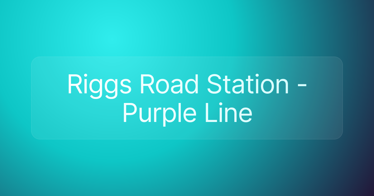 Riggs Road Station - Purple Line