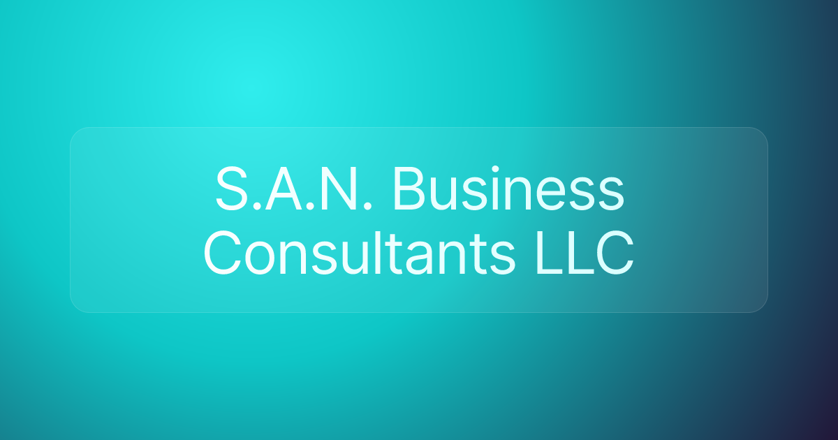 S.A.N. Business Consultants LLC