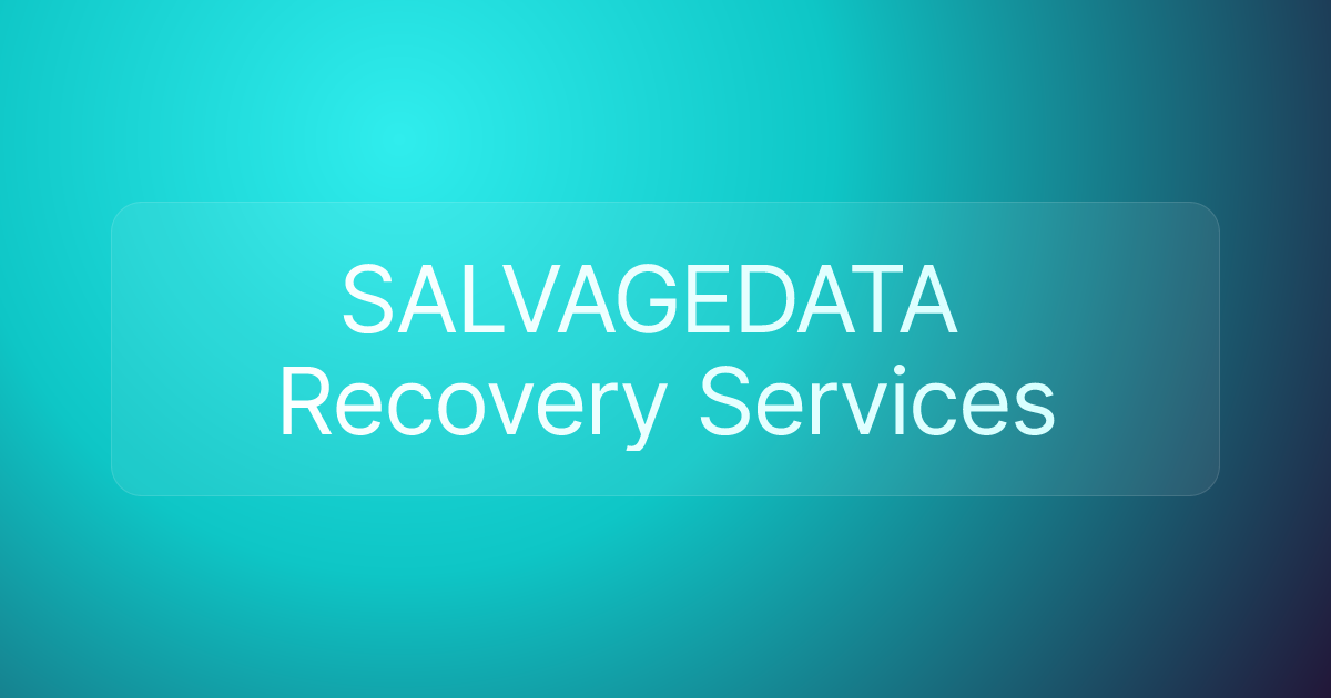 SALVAGEDATA Recovery Services