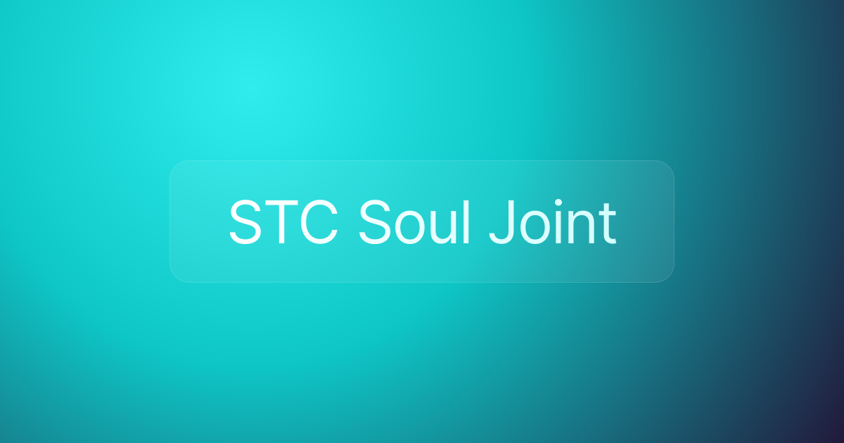 STC Soul Joint