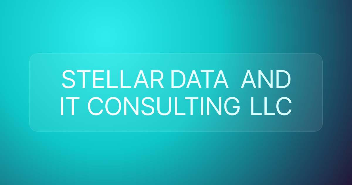 STELLAR DATA AND IT CONSULTING LLC