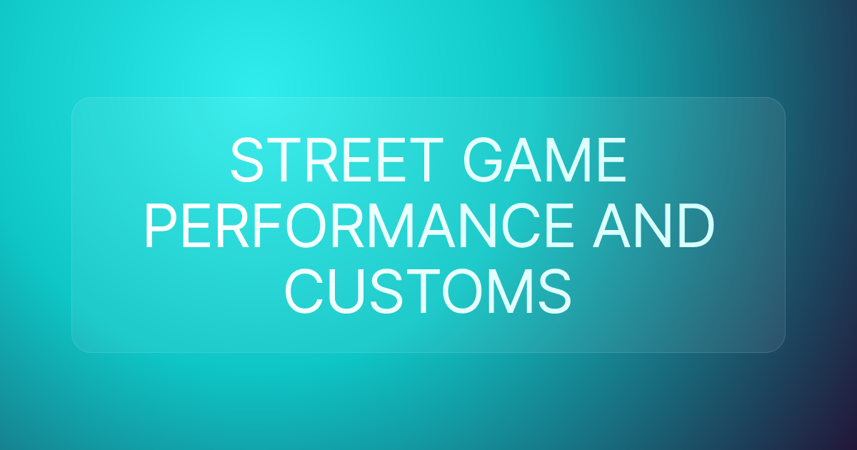 STREET GAME PERFORMANCE AND CUSTOMS