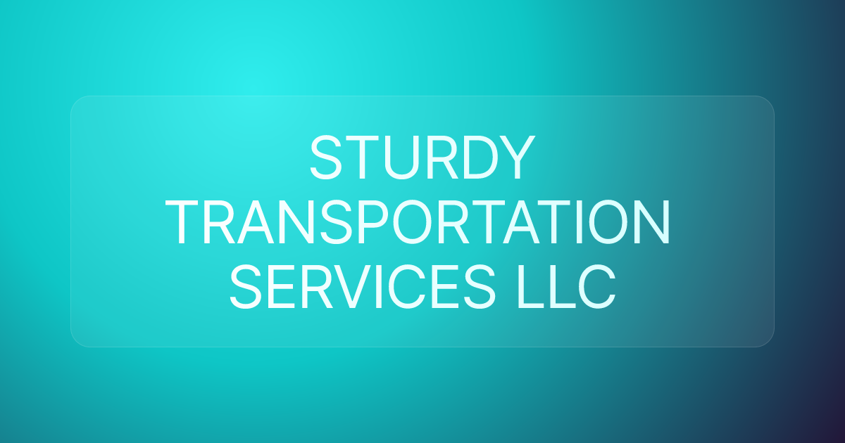 STURDY TRANSPORTATION SERVICES LLC