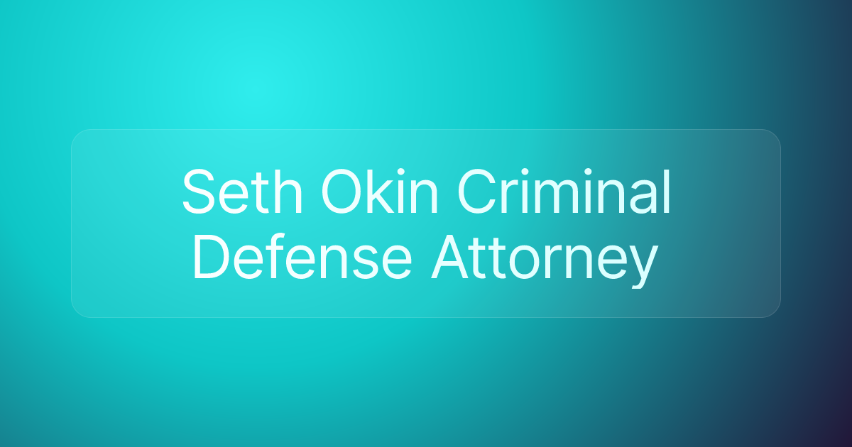 Seth Okin Criminal Defense Attorney