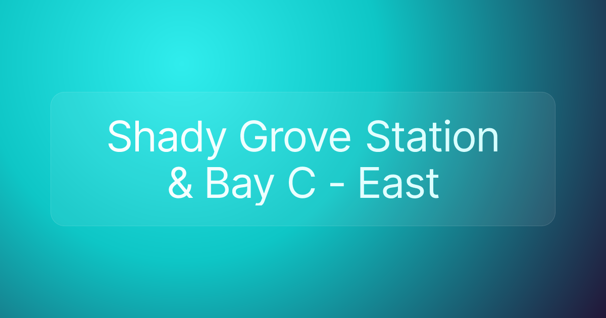 Shady Grove Station & Bay C - East
