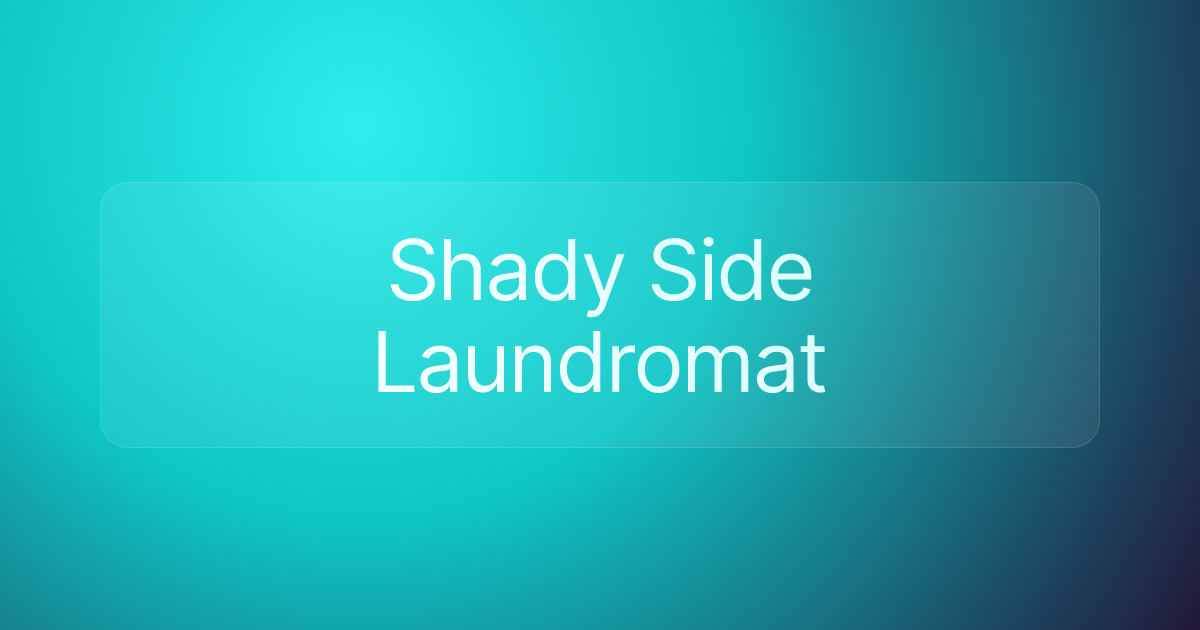 Shady Side Laundromat