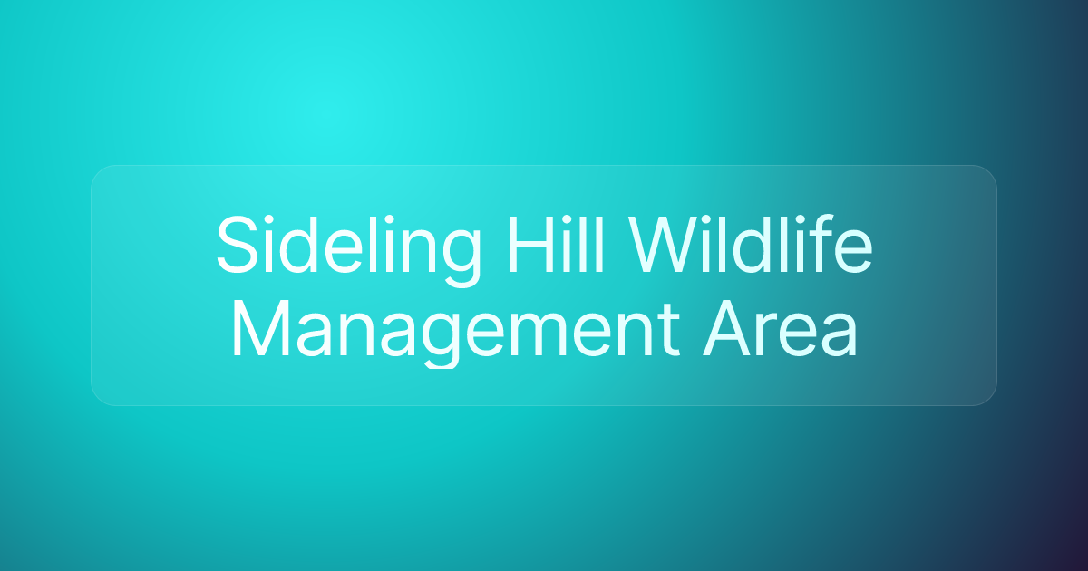 Sideling Hill Wildlife Management Area
