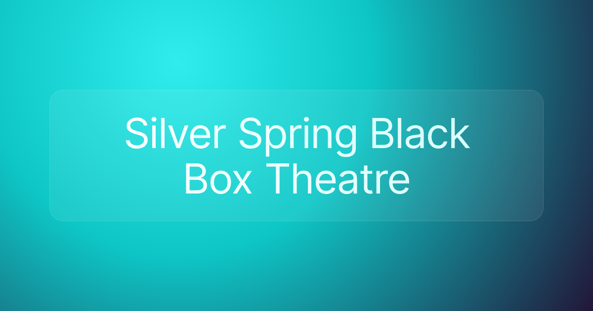 Silver Spring Black Box Theatre