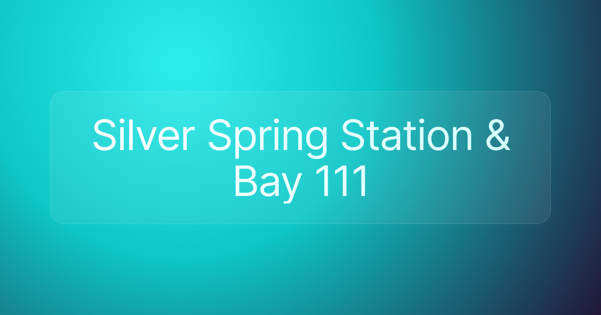 Silver Spring Station & Bay 111