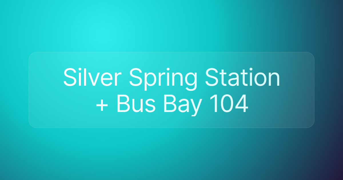 Silver Spring Station + Bus Bay 104