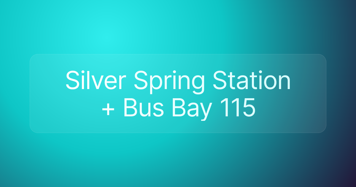 Silver Spring Station + Bus Bay 115