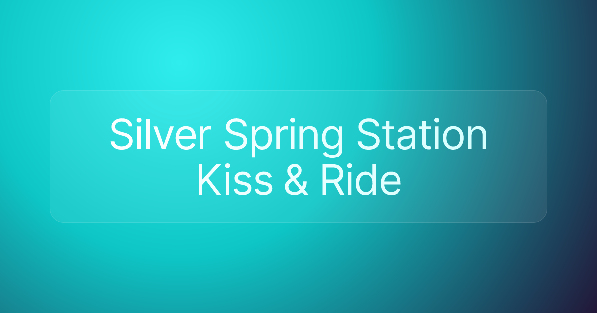 Silver Spring Station Kiss & Ride