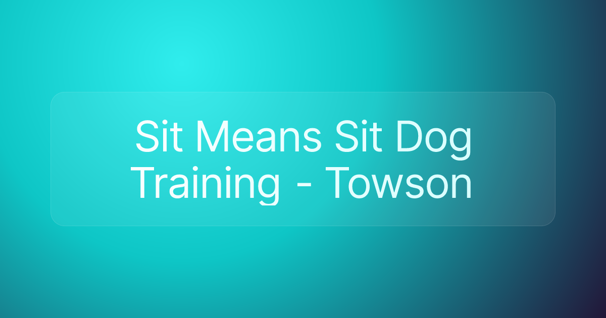 Sit Means Sit Dog Training - Towson