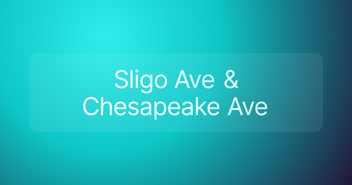 Sligo Ave & Chesapeake Ave