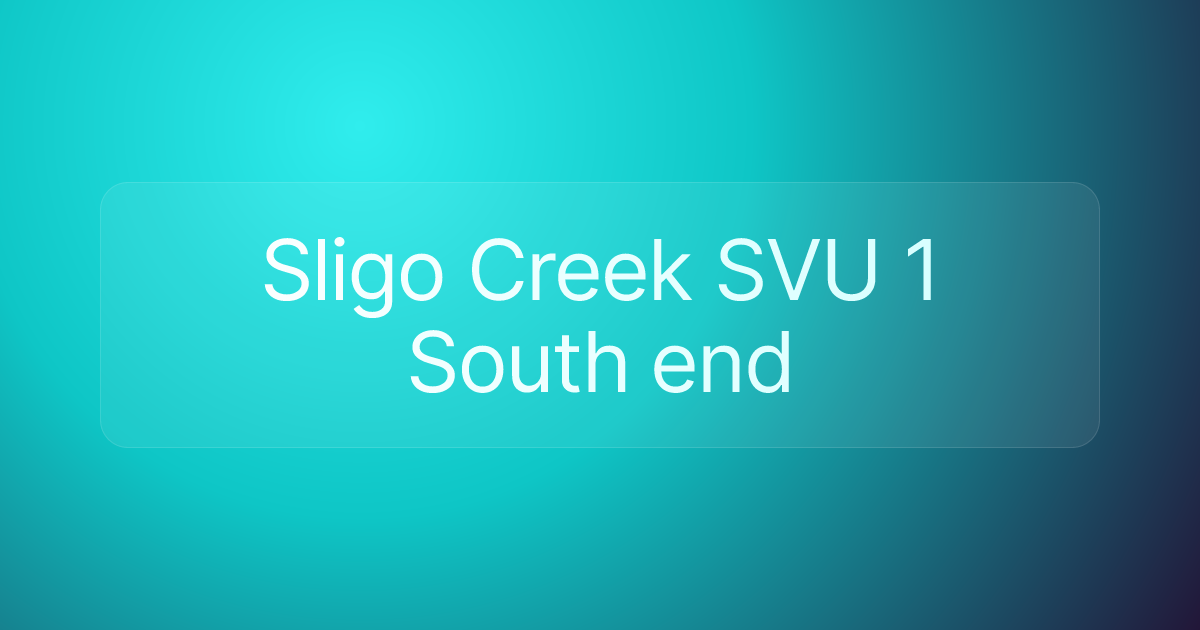 Sligo Creek SVU 1 South end