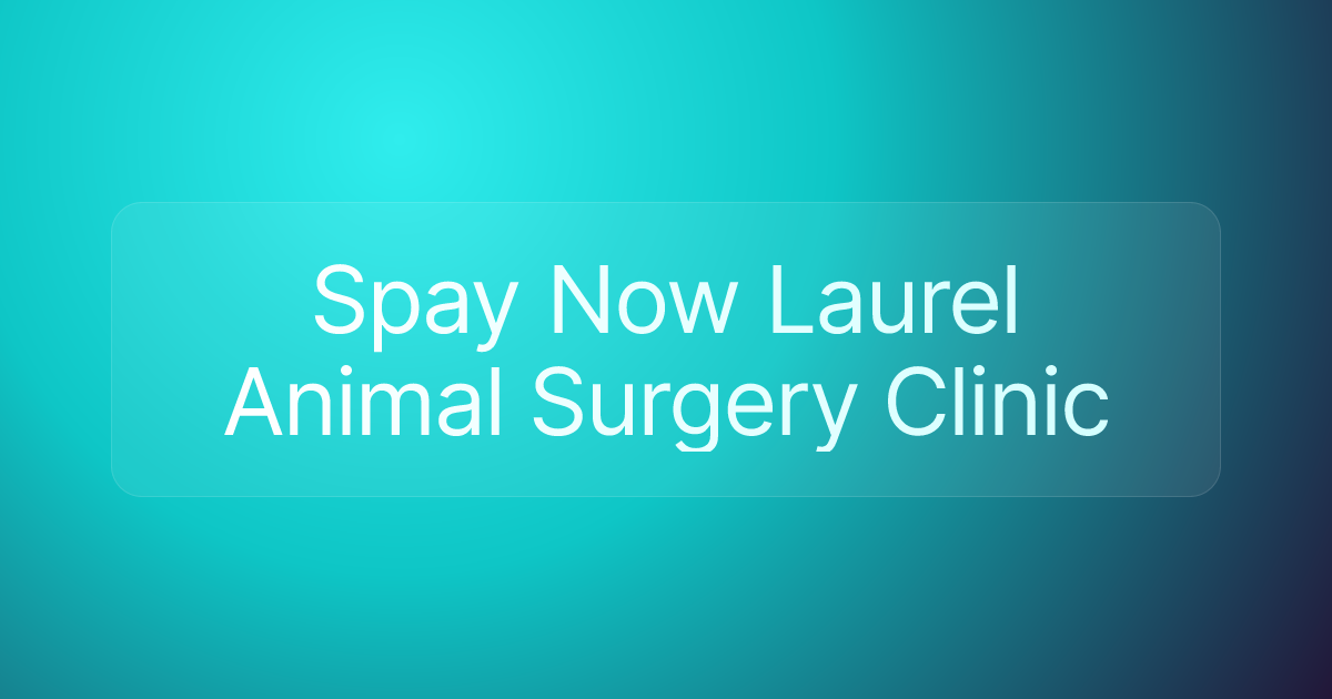 Spay Now Laurel Animal Surgery Clinic