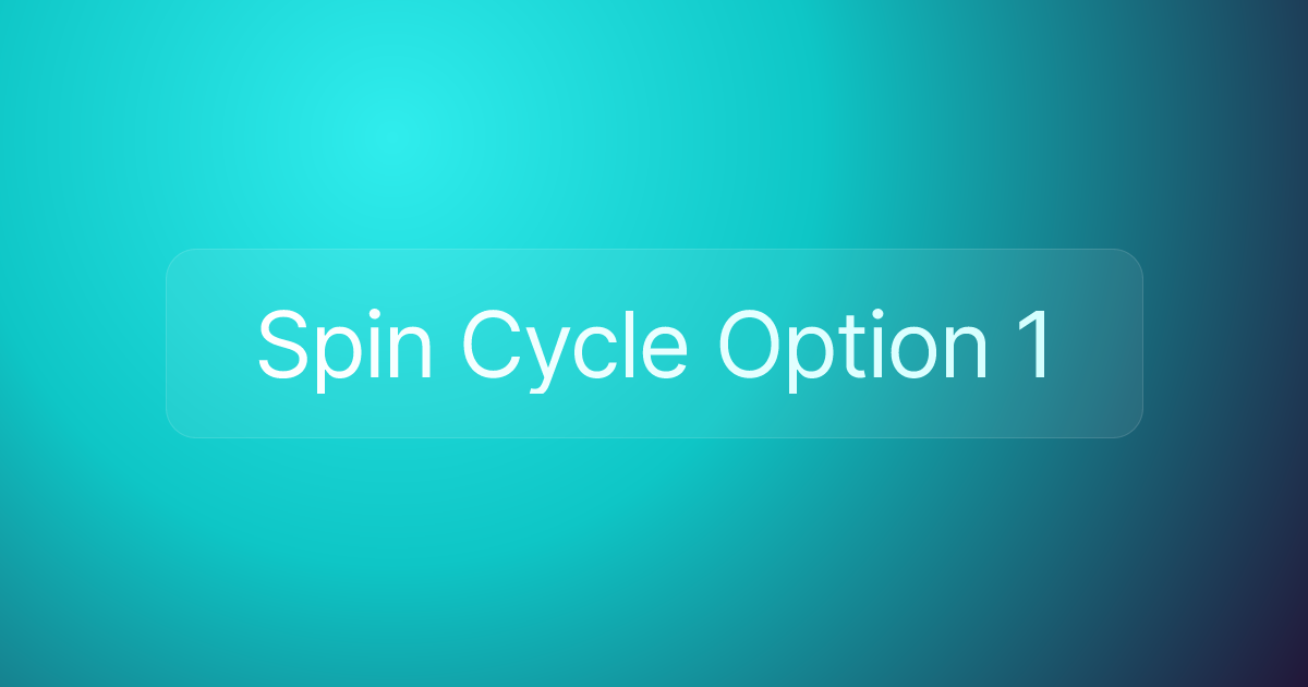 Spin Cycle Option 1