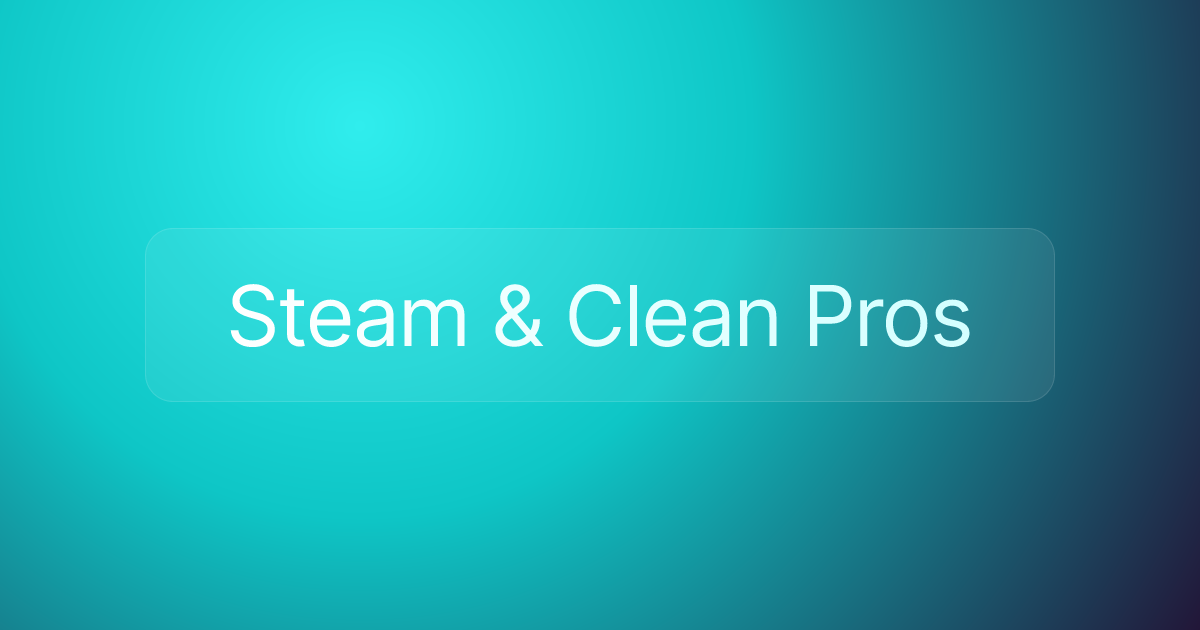Steam & Clean Pros