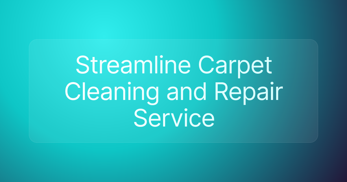 Streamline Carpet Cleaning and Repair Service