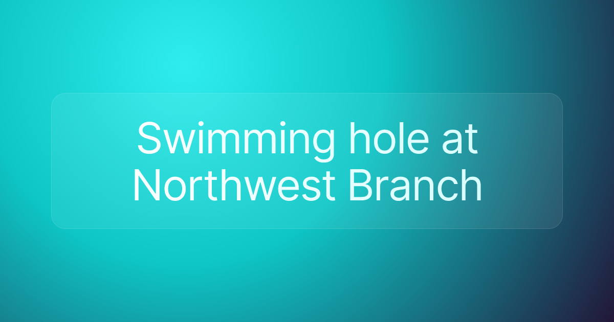 Swimming hole at Northwest Branch