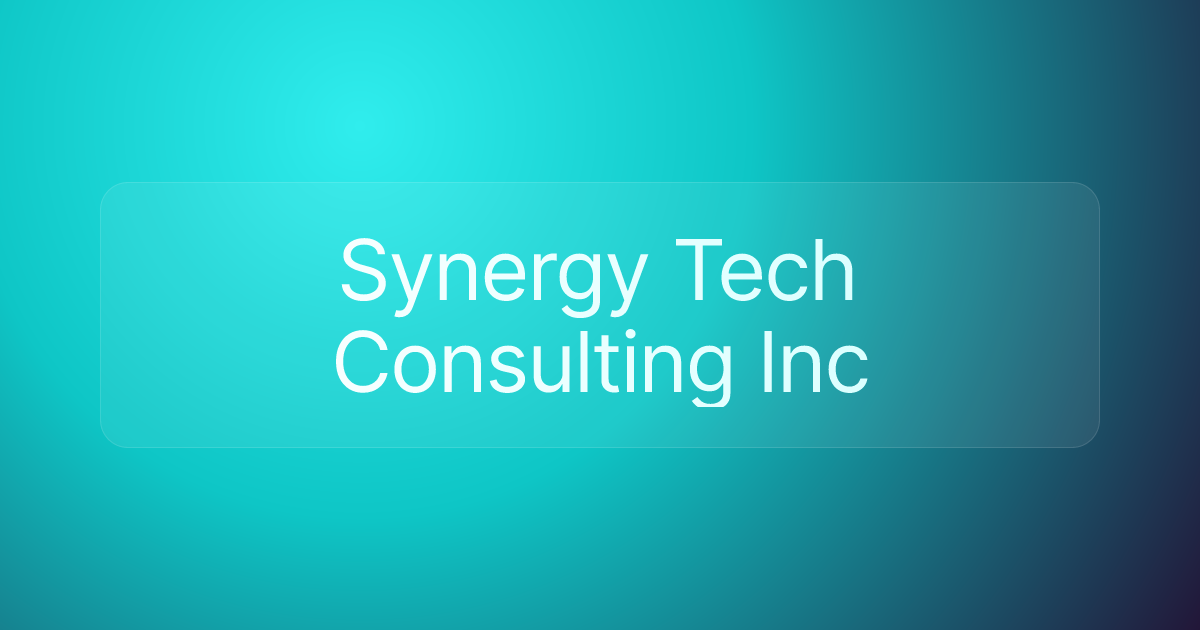 Synergy Tech Consulting Inc