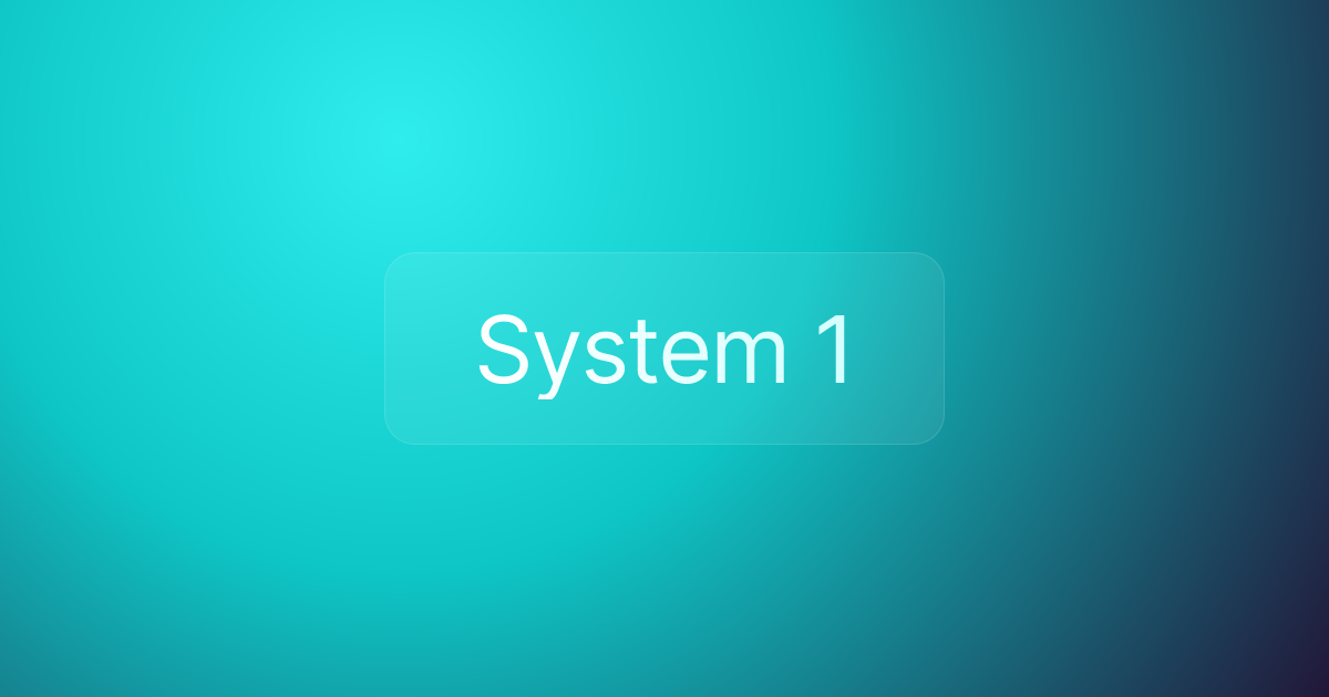 System 1