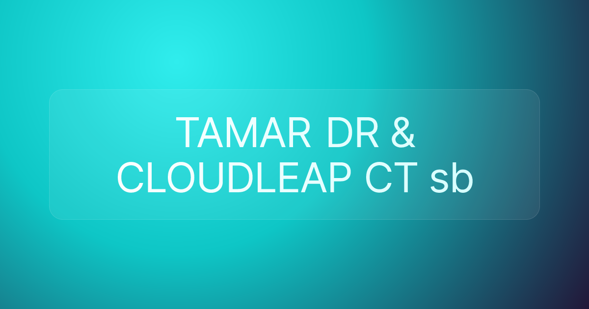 TAMAR DR & CLOUDLEAP CT sb