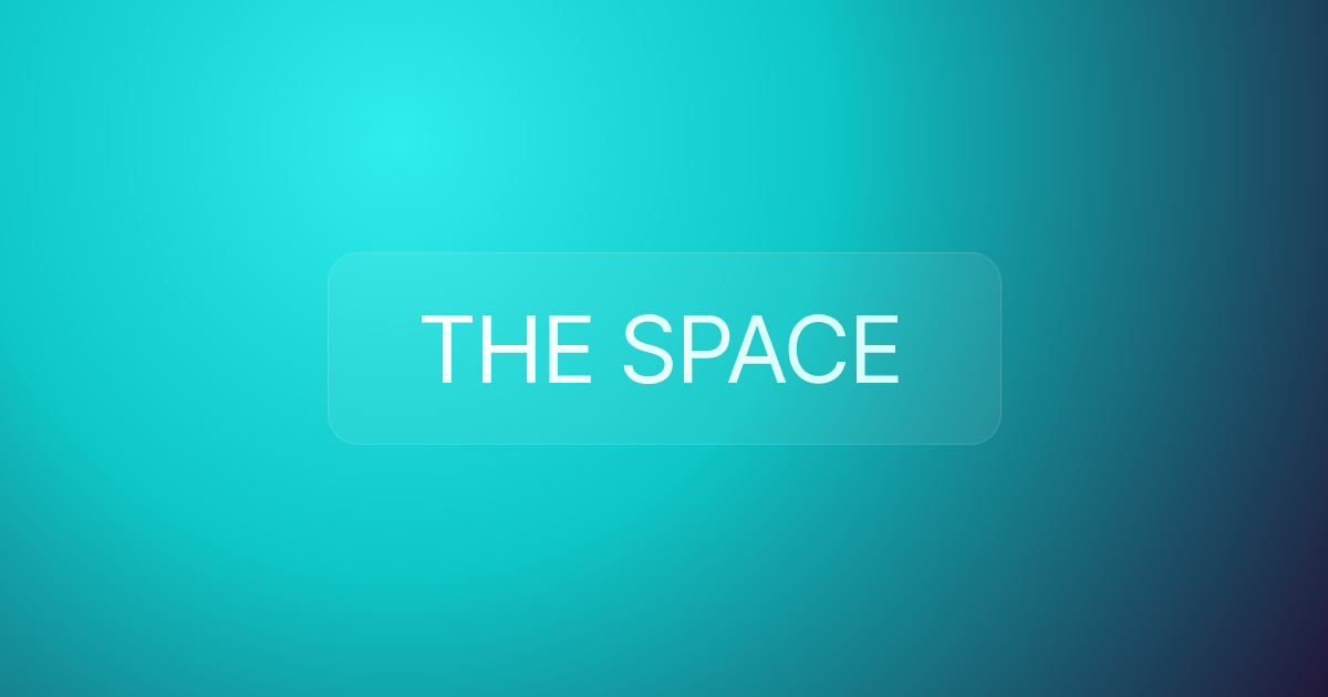 THE SPACE
