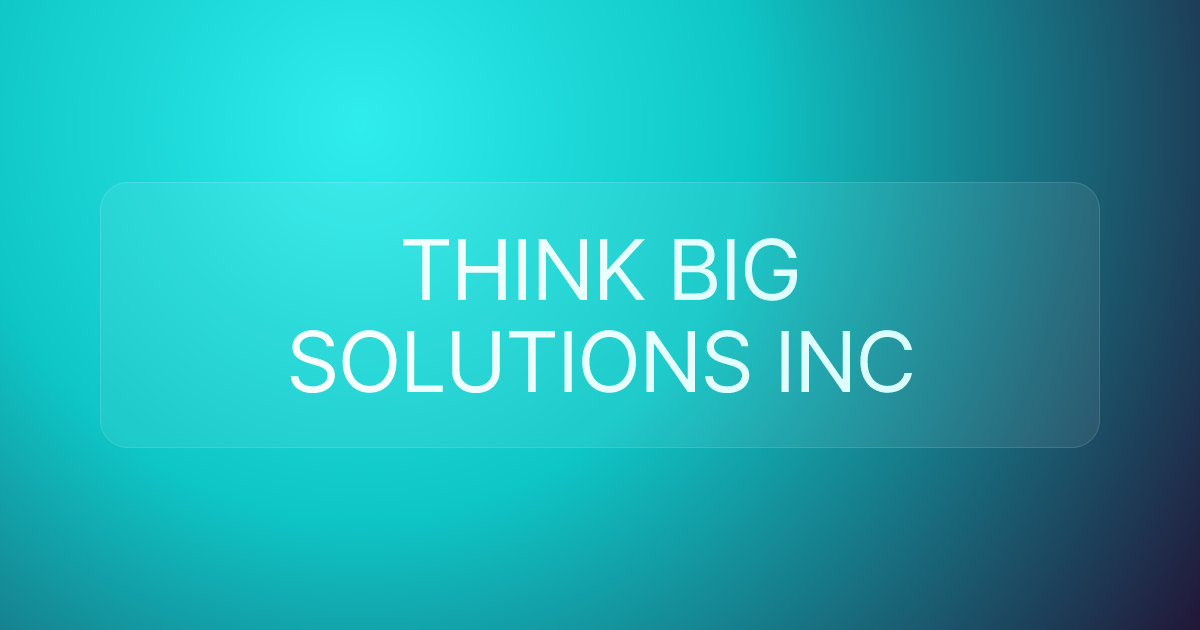 THINK BIG SOLUTIONS INC