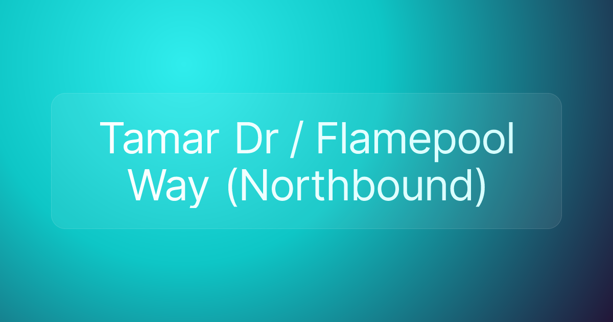 Tamar Dr / Flamepool Way (Northbound)