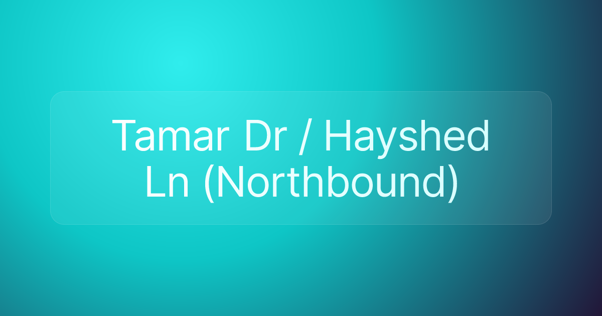 Tamar Dr / Hayshed Ln (Northbound)
