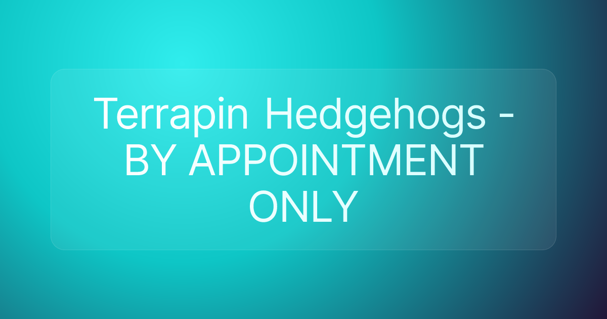 Terrapin Hedgehogs - BY APPOINTMENT ONLY