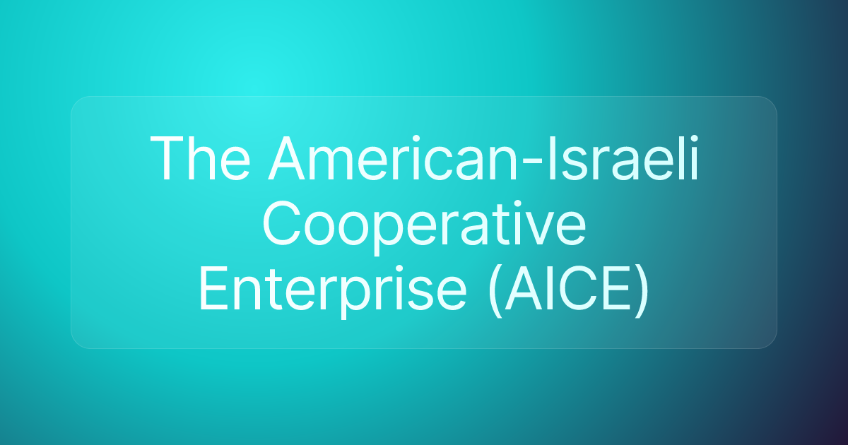 The American-Israeli Cooperative Enterprise (AICE)