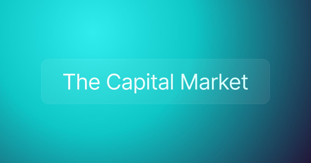 The Capital Market